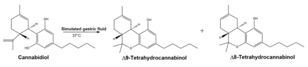 molecule graphic for Does CBD Convert to THC in the Body blog