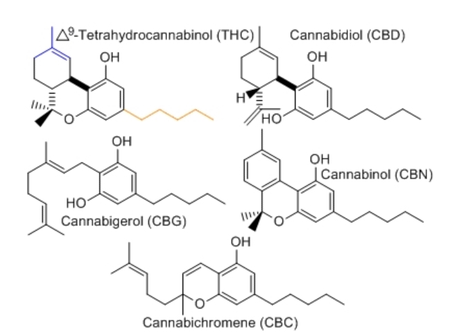 cbc molecule graphic for beyond thc & cbd blog