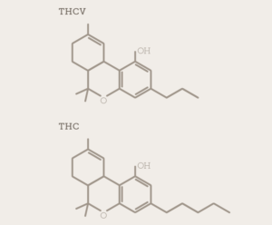 Molecular Structure Comparison of THCV and THC