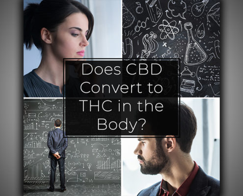 Does CBD Convert to THC in the Body