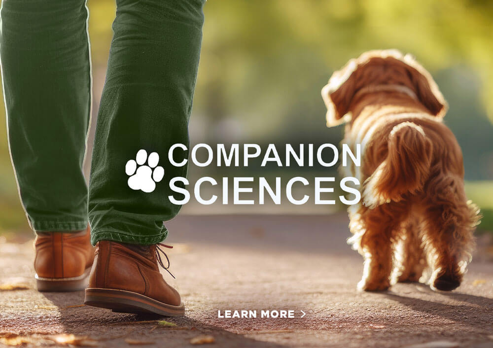 Companion Sciences